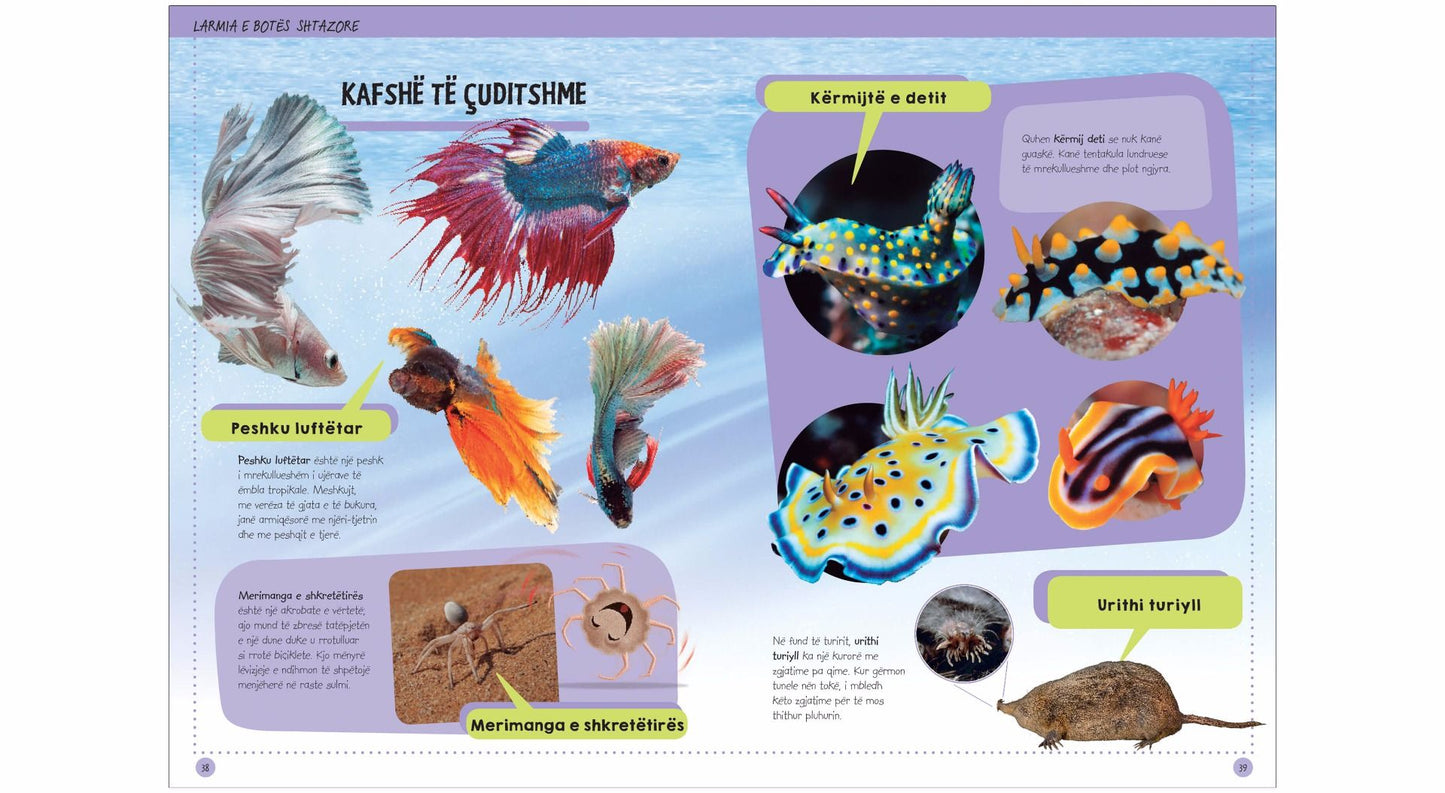 Zbuloni kafshët - LibraMagjik.ch