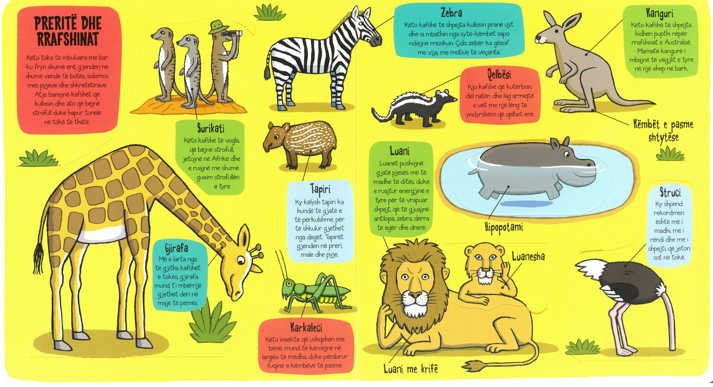 Zbuluesit e vegjël: Bota e kafshëve