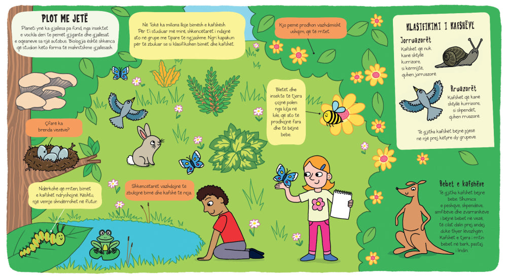 Zbuluesit e vegjël: Shkenca - LibraMagjik.ch