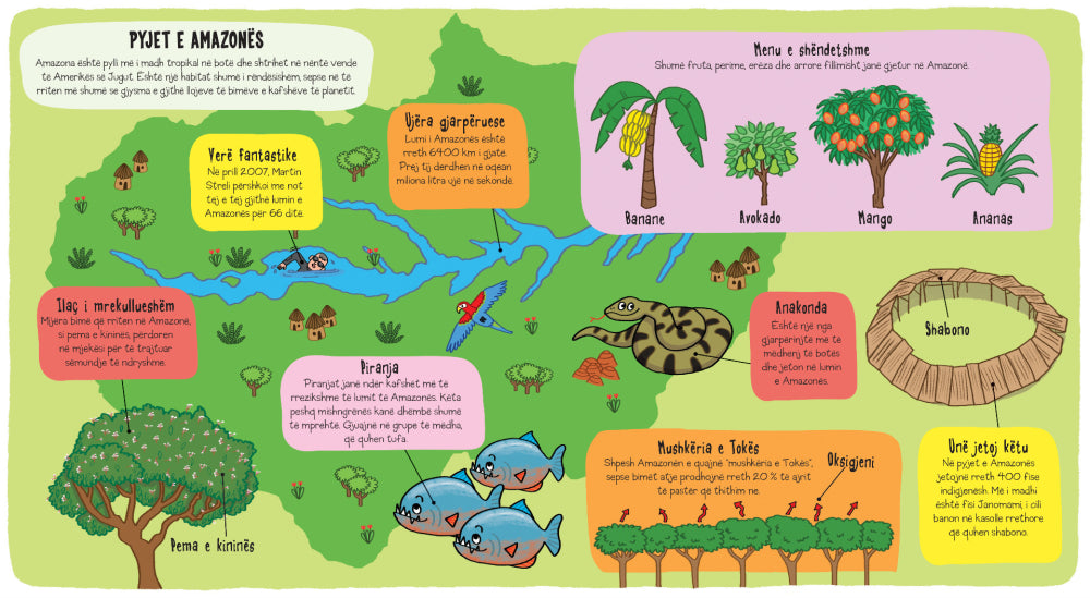 Zbuluesit e vegjël: Pylli Tropikal - LibraMagjik.ch